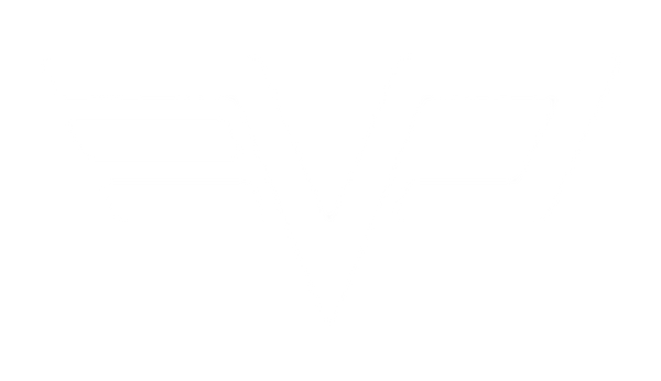 Evo Store